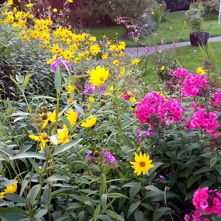 Grenznah Garten Ruhig Ladelund