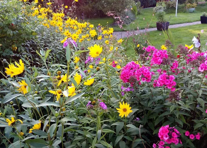 Grenznah Garten Ruhig Ladelund